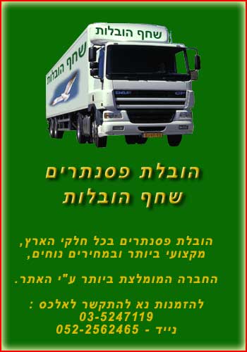 תמונת משאית הובלות ופרטי המוביל :
שורת כותרת ראשונה שמתארת את עיסוק המוביל. בשורה הזו כתוב : " הובלת פסנתרים".
שורת כותרת שנייה שמפרטת את שם המוביל. בשורה הזו כתוב : "שחף הובלות".

מתחת יש פרטים נוספים שמפרטים את מה שחשוב למוביל לציין. הפרטים נוספים הם : "הובלת פסנתרים בכל חלקי הארץ, מקצועי ביותר ובמחירים נוחים, החברה המומלצת ביותר על ידי האתר.

להזמנות נא להתקשר לאלכס :
03-5247119
נייד - 052-2562465"
